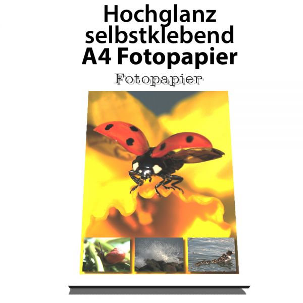 Selbstklebendes Fotopapier, Glossy/Hochglanz, Din A4, 20 Blatt
